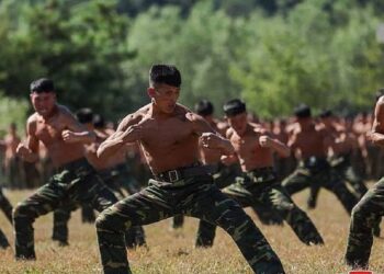 EU reporta “cientos” de muertos norcoreanos en Ucrania