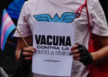 Este año se han registrado 114 casos de viruela símica