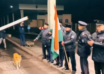 Perrito realiza el primer cruce fronterizo entre Rumania y Bulgaria