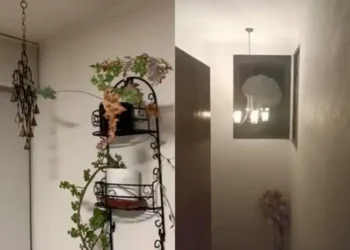 Así se vivió el sismo que sorprendió a la CDMX en la madrugada