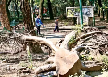 Deterioro e inseguridad en el Parque España de la CDMX