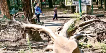 Deterioro e inseguridad en el Parque España de la CDMX