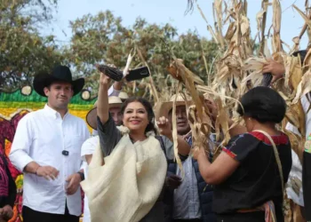 Fomentan el maíz urbano; proyectan un aumento del 15% en su producción