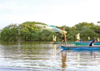 Promueven ecoturismo y conservación ambiental