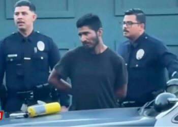 Sheinbaum pide justicia para mexicano acusado por incendio en Los Ángeles