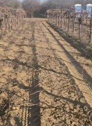 Migrantes abandonan trabajos por miedo a ser deportados