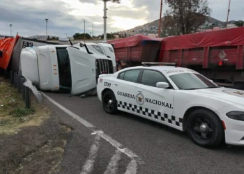 Saquean tráiler que transportaba pollo, tras volcadura