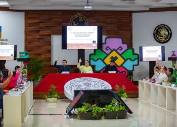 Aprueba el Cabildo de Solidaridad la instalación de una caseta de policía en la zona de Centro Maya