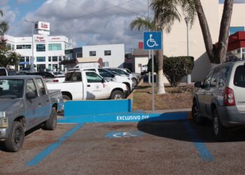 Presidenta Rocío Adame invita a las personas con discapacidad a renovar su tarjeta azul