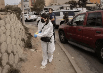 220 asesinatos en el país durante el primer fin de semana de 2025