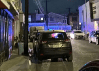 Abuelita y sus tres perros mueren durante incendio en casa