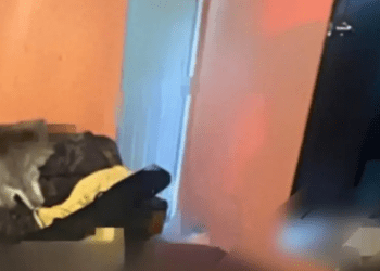 Sujeto asesina a su esposa en una discusión de pareja y luego se suicida