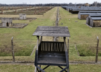 A 80 años de la liberación de Auschwitz: Su impacto en la cultura pop