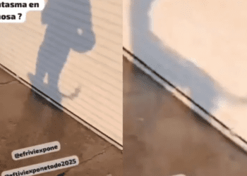 Joven graba supuesto perro ‘fantasma’ y se vuelve viral en redes sociales