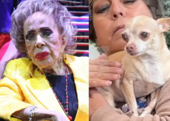 Silvia Pinal habría contemplado a su perrita en el testamento