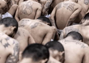 El Salvador analiza la liberación de 150 detenidos “arbitrariamente” en guerra contra pandillas