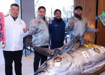 Subastan un atún rojo en 1.3 millones de dólares