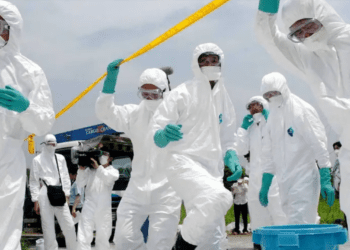 Tras brote de gripe aviar, Japón sacrifica 50 mil pollos