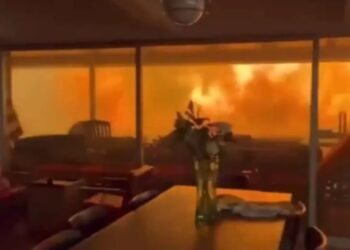 Video muestra a dos hombres y su perro atrapados por incendios en California