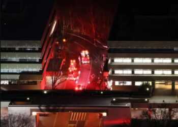 Ocho heridos en ataque con martillo en universidad de Tokio