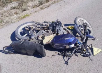 Adulto y niño mueren por accidente de motocicleta