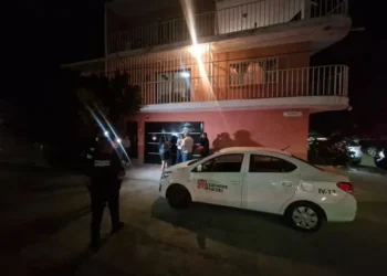 Hallan cuerpos de perritos y detienen a supuesta veterinaria