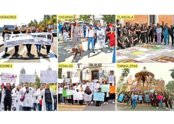 Veterinarios marchan para exigir seguridad