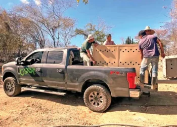 En Culiacán reanudad clases luego de ser suspendidas por hechos violentos