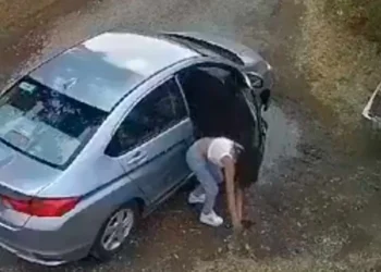 Abandonan a perritos en Puebla, queda grabado