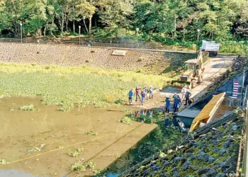 Pobladores denuncian afectaciones en laguna por construcción de granja avícola