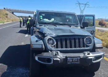 Regidor de Perote atropella a abuelito y escapa