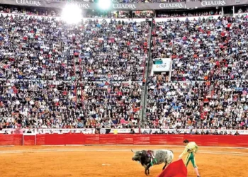 Conceden amparo para evitar corridas de toros en CDMX