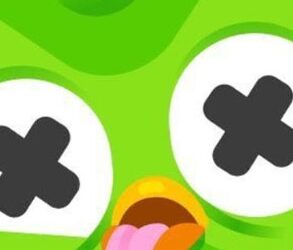 Duolingo revela que su mascota fue atropellada por una Cybertruck