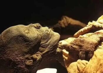 Egipto halla su primera tumba real en 100 años, tras la de Tutankamón