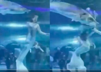 En China, un enorme pez ataca a una sirena ante el público