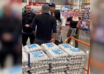 En EU se pelea por el huevo debido a su escasez y aumento de precio