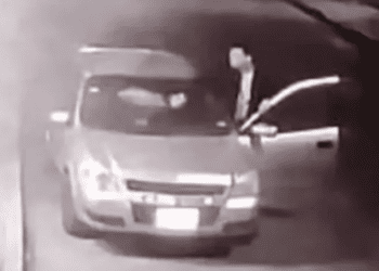 Graban a jóvenes limpiando parabrisas de auto con cuerpo de tlacuache