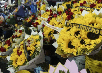 Profeco realiza operativo para evitar abusos en San Valentín