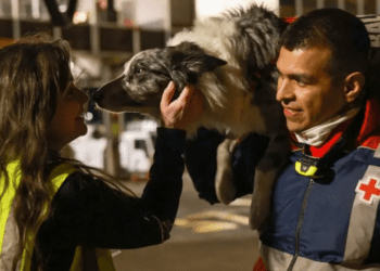 Cruz Roja Mexicana entrena 35 binomios caninos para búsqueda y rescate cada año