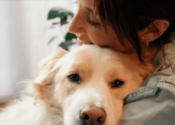 Así puedes certificar un perro de apoyo emocional