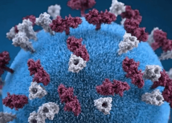 Brote de sarampión deja su primera víctima en Estados Unidos