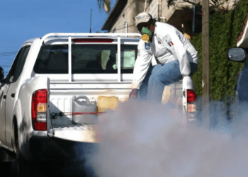 México suma 887 casos de dengue en lo que va de 2025