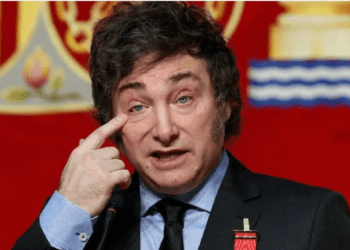 Milei despide a la embajadora de Argentina ante la OEA