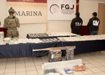 Decomisan 22 mil dosis de cocaína, un pony y 29 gallos en Tamaulipas