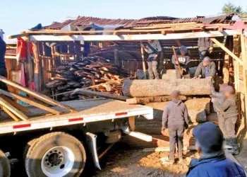 Cierran dos aserraderos ilegales en Huitzilac