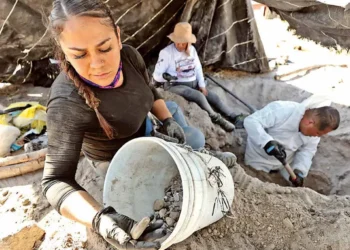Rancho de exterminio operaba a pesar de suspensión