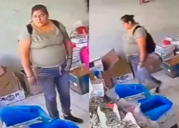 Captan robo de bolsa con camarones en mercado