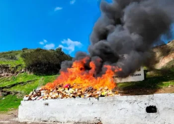 Incineran seis toneladas de drogas en Baja California