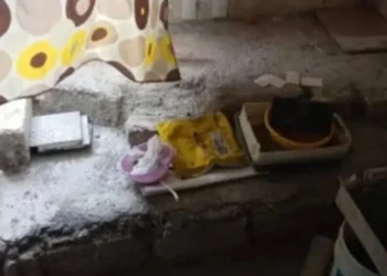 Hallan cadáver bajo loza en departamento