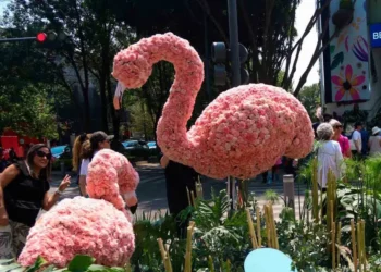 Implementarán dispositivo de seguridad en Masaryk